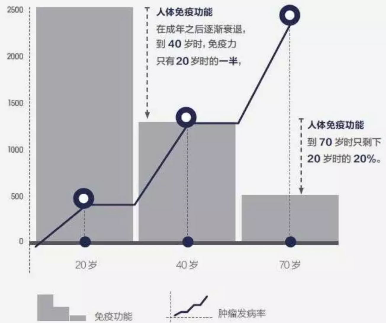 屏幕快照 2019-10-29 下(xià)午3.39.40.png